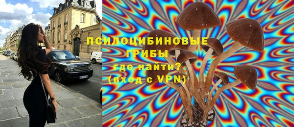 ГАЛЛЮЦИНОГЕННЫЕ ГРИБЫ Зеленокумск
