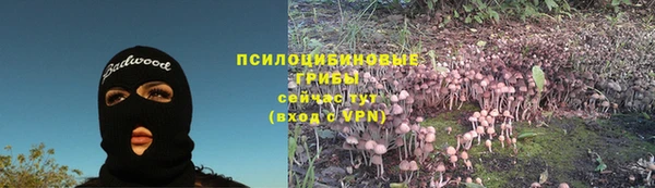 героин Инсар