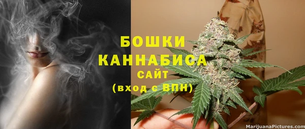 ГАЛЛЮЦИНОГЕННЫЕ ГРИБЫ Зеленокумск
