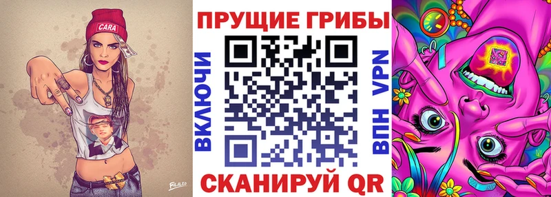 Псилоцибиновые грибы Psilocybine cubensis  цены наркотик  Котельниково 